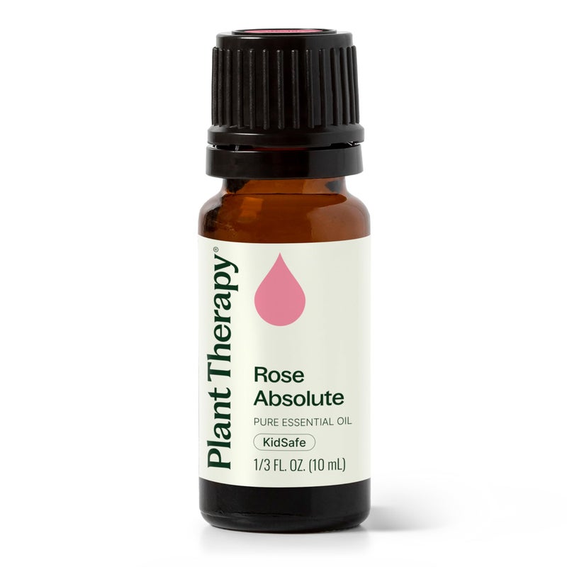 Plant Therapy Rose Absolute Essential Oil 100 Pure Undiluted Natural Aromatherapy Therapeutic Grade 10 mL 13 oz